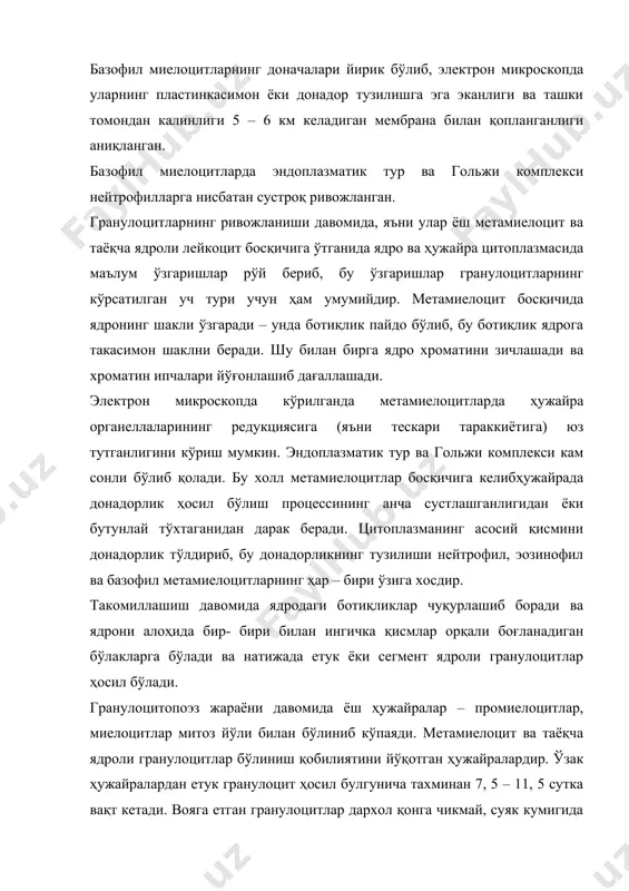 гигантлари майда қон ҳужайраларини яратади. схематик равишда тромбоцитопоэз бундай ифодаланади: ўзак ҳужайра – миелопоэзнинг бошланғич ҳужайраси – мегакариобласт – промегакариоцит – мегакариоцит – қон пластинкалари (тромбоцитлар). мегакариобластлар ўз морфологик хусусиятлари билан дифференциалланмаган бласт ҳужайраларга ўхшаб кетади. улар анча йирик (15 – 25 мкм) бўлиб, думалоқ ёки овалсимон шаклга эга. цитоплазма романовский усули билан базофил буялиб, тўқ кук рангни олади ва ўзида хеч қандай донадорлик сақламайди. электрон микроскопда мегакариобластлар цитоплазмасининг эркин ҳолда жойлашган рибосома ва полисомаларга бой эканлиги, митохондриялар, эндоплазматик тур каналчаларининг эса жуда кам сонли бўлишини курамиз. мегакариобластлар такомиллашиш давомида промегакариоцитлар ҳосил бўлиб, улар мегакариобластларга нисбатан анча йирикроқдир. уларнинг ядроси бир неча ботиқликларга эга бўлиши туфайли ўзининг юмалок шаклини йўқотиб, бугимларга бўлина бошлаган бўлади. шу билан бир вақтда ядро хроматинининг зичлашиши ҳам қайд этилади. электрон микроскопда промегакариоцитлар цитоплазмасида анча яхши тараккий этган ҳужайра органеллалари, доначалар ва вакуолалар борлиги кузга ташланади. шу билан биргаликда ҳужайра цитоплазмасининг марказий қисмида – эндоплазмада органеллалар …