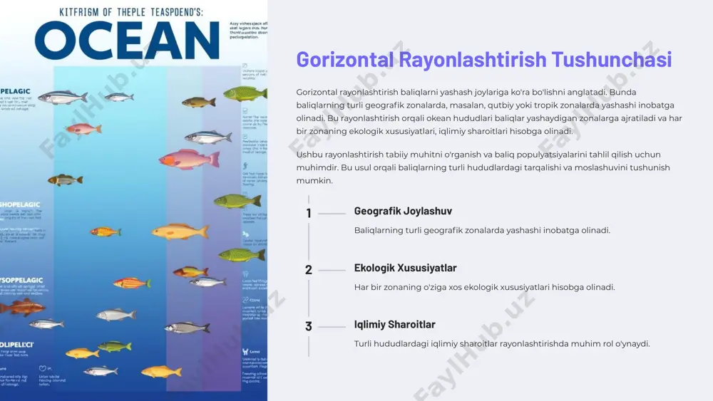 ik zonada quyosh nuri yaxshi yetib boradi, bu esa o'simliklar va hayvonot olamining rivojlanishiga yordam beradi. biologik xilma-xillik bu zona okeandagi eng xilma-xil ekotizimlardan biri hisoblanadi, ko'plab baliq turlari va boshqa dengiz jonivorlari uchraydi. oziqlanish manbai plankton va mayda organizmlar ko'p bo'lganligi sababli, bu zona baliqlar uchun muhim oziqlanish manbai hisoblanadi. 6 okeanik zona okeanik zona neritik zonadan keyingi, chuqurroq hududdir. bu yerda quyosh nuri yetarli darajada yetib bormaydi, shuning uchun o'simliklar va planktonlar miqdori kamroq. ammo, bu zonada yirik baliqlar va dengiz hayvonlari yashaydi. okeanik zonada baliqlar hayotini davom ettirish uchun moslashgan va ularning biologik tuzilishi ushbu hududning sharoitlariga moslashgan. bu zona okean bo'yicha baliq populyatsiyasining muhim qismi uchun yashash joyi hisoblanadi. okeanik zonada yashovchi baliqlar ko'pincha chuqur suvlarda yashashga moslashgan va o'ziga xos xususiyatlarga ega. chuqur suvlar okeanik zona chuqur suvlarda joylashgan bo'lib, quyosh nuri kam yetib boradi. yirik baliqlar bu zonada ko'proq yirik baliqlar va dengiz hayvonlari …