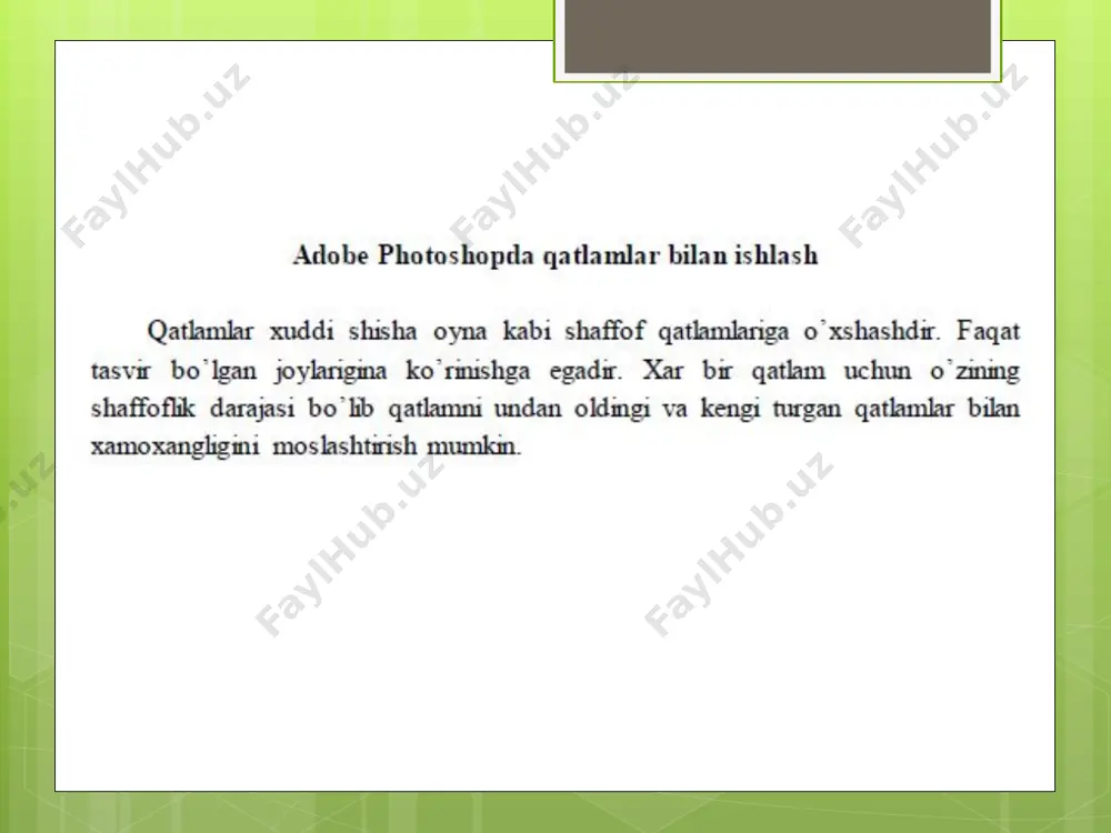 adobe photoshop - Page 3