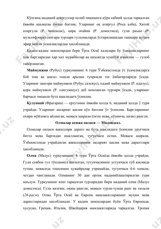 алия, швейцария мамлакатларида тарқалган. тропик мамлакатларда олма у қадар қимматли эмас, чунки унинг меваси тез орада унсимон массага ай-ланади ва бизнинг мамлакатларимиздагидек ширин бўлмайди. нок (пйрус) туркумининг вакиллари, асосан, ўрта осиё ва кавказ ўлкаларида таркалган. туркумнинг 25 га яқин туридан ўрта осиёда 5 таси ёввойи ҳолда учрайди. олмадан гулнинг сохта ёки даста тўп гулларида учраши билан фарқ қилади. бу туркумнинг муҳим турларидан маданий нок (пйрус доместиcа) ҳисобланади. баланд бўйли дарахт, барглари юраксимон ёки юмалок, узун бандли, ялтироқ, четлари қирқилмаган, муҳим хўжалик аҳамиятига эга бўлган мева дарахти. 5.000 га яқин маданийлаштирилган навлари маълум, ўз аҳамиятига кўра олмадан сўнг иккинчи ўринда туради. дўлана (cратаэгус) туркумининг вакиллари ҳам дарахт ўсимлик бўлиб, ўрта осиёда 22 тури ёввойи ҳолда кенг тарқалган. булар орасида, айниқса, сариқ дўлана (cратаэгус понтиcа) ва қизил дўлана (c. туркестаниcа) кенг тарқалган. у олма, нок сингари инсон томонидан севиб тановул қилинадиган муҳим ўсимликлардан ҳисобланади. олхўридошлар кенжа оиласи — пруноидеаэ. олхўридошлар кенжа оиласи …