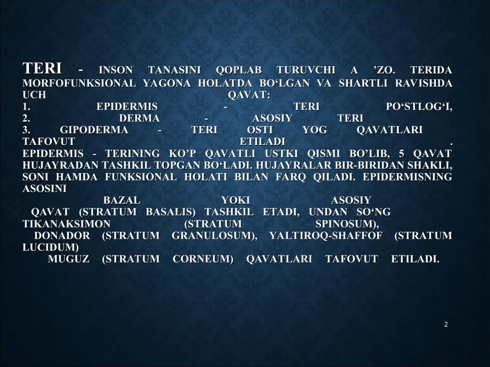 qavati (stratum papillare) 2. chuqur to‘rsimon qavat (stratum reticulare). gipoderma yoki teri osti yog qavati. bu qavat bir-biriga chuvalashib ketgan biriktiruvchi to‘qimalar to‘plamlaridan iborat. bu to‘plamlar orasida turli miqdordagi sharsimon yog hujayralari saqlanadi. gipodermada qon tomirlari, nerv tolalari, nerv oxirlari, ter bezlari, soch follikulalari joylashadi. * * terining asosiy funksiyalari himoya funksiyasi. terining himoya xususiyati turli mexanik, nur, mikroorganizmlar ta’siridan terini va butun organizmni himoya qiladi. nafas olish-chiqarish va rezorbsion funksiyasi. terining rezorbsion xususiyati yog'-soch follikulalari funksional faolligiga, suv-yog' mantiyasi holatiga, muguz qavatining pishiqligiga bog'liq. termoregulyator funksiyasi. tana harorati doimiyligini ta ’minlash, adaptatsion mexanizmlari turli-tumandir. terining sekretor funksiyasi. bu funksiya keratinotsitlarning sekretor faoliyati, immunoregulyator hujayralar hamda ter-yog‘ bezlari faoliyati hisobiga amalga oshadi. terining ekskretor funksiyasi sekretor funksiyasi bilan birga kuzatiladi. almashinuv funksiyasi. terining depolash xususiyati moddalar almashinuvida katta ahamiyatga ega. retseptor funksiyasi. teri nafaqat organizmni turli ta’sirlardan himoya qiladi, balki multifaktor-analizator bo'lib, katta retseptor maydoni ham hisoblanadi. * * morfologik …
