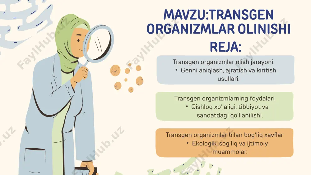 adi. vektor genni maqsadli organizmga yetkazib beradigan "transport vositasi" sifatida ishlaydi. bakterial vektorlar: ko‘pincha plazmidlar (bakterial dnk halqasi) ishlatiladi. bu plazmidlarga maqsadli gen joylashtiriladi. viruslar: ba’zi hollarda genlarni ko‘chirish uchun maxsus o‘zgartirilgan viruslardan foydalaniladi. genni maqsadli organizmga kiritish genning maqsadli organizmga kiritilishi bir necha usullarda amalga oshiriladi: mikroin'ektsiya: genlarni to‘g‘ridan-to‘g‘ri hujayra yadrosiga in’ektsiya qilish usuli. bu usul hayvonlarda ko‘proq qo‘llaniladi. elektroporatsiya: hujayra membranasini elektr toki yordamida vaqtinchalik "teshilib" turishiga sabab bo‘ladi, natijada gen ichkariga kiradi. step 1: agrobakteriya vositasi: bu usul qishloq xo‘jaligida keng qo‘llaniladi. agrobacterium tumefaciens bakteriyasi o‘simlikka o‘zining genetik materialini ko‘chirish xususiyatiga ega. gen quroli (biolistika): genlar zarrachalar (masalan, oltin yoki volfram) bilan qoplangan va yuqori tezlikda hujayraga "otiladi". step 2: genetik modifikatsiya qilingan hujayralar tekshiriladi va faqat muvaffaqiyatli o‘zgartirilganlari tanlab olinadi. marker genlar: o‘zgartirilgan organizmlarni aniqlash uchun marker genlar ishlatiladi (masalan, antibiotikga chidamlilik geni). molekulyar analizlar: pcr, gel-elektroforez va boshqa texnologiyalar yordamida o‘zgartirilgan genlarning mavjudligi va to‘g‘ri …