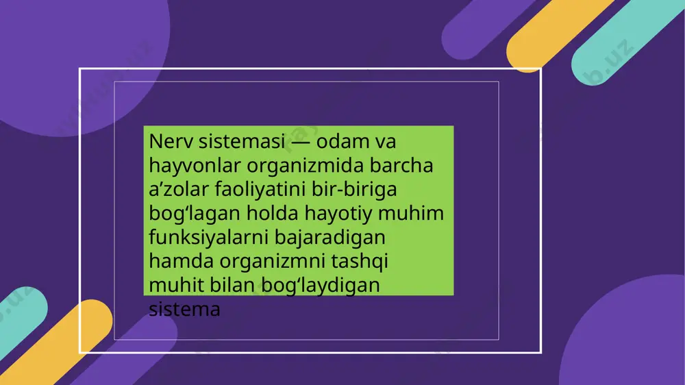 nerv sistemasi - Page 2