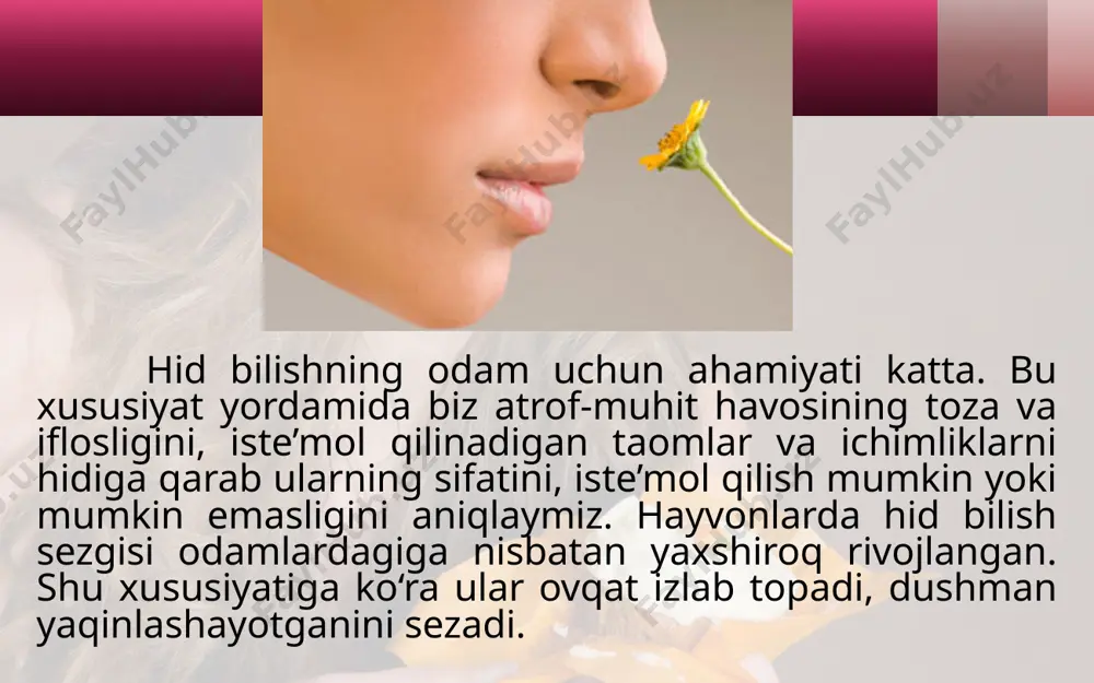 hidvata’mbilish organlari - Page 4