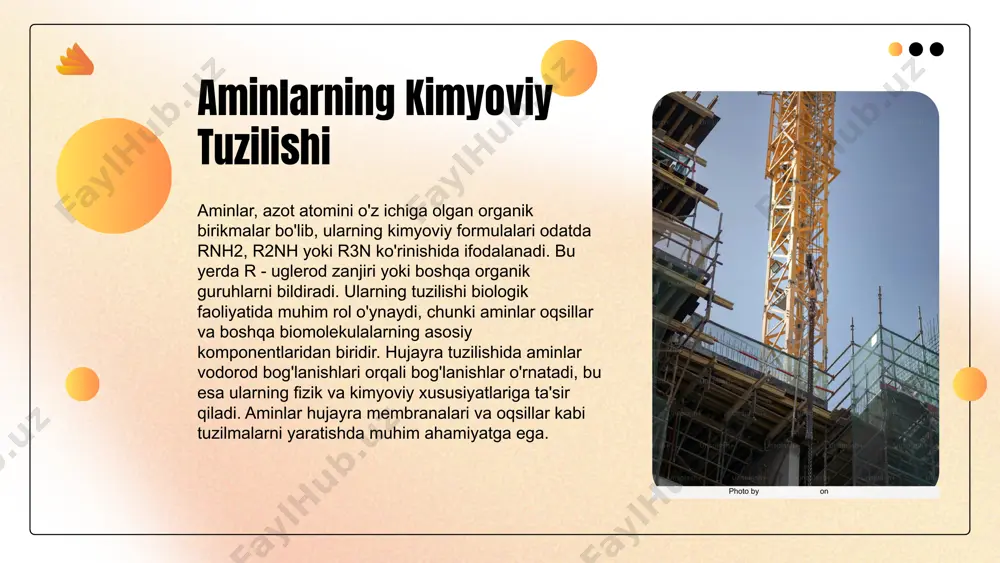 r. shuningdek, aminlar tuproq unumdorligida va suv ekosistemalaridagi muvozanatda ham rol o'ynaydi. ularning ifloslanish darajasi ekotizimlarning sog'lig'iga ta'sir qilishi mumkin, bu esa biologik xilma-xillikni saqlashda muhim ahamiyat kasb etadi. photo by levi meir clancy on unsplash aminlar: ijtimoiy va iqtisodiy ta'siri aminlar organik kimyoda muhim rol o'ynaydi. ularning iqtisodiy ahamiyati kengayib bormoqda. 2021-yilda aminlar asosida ishlab chiqarilgan mahsulotlarning global bozori 150 milliard dollardan oshishi kutilmoqda. bu, farmatsevtika va oziq-ovqat sanoatidagi o'sishni ta'minlaydi. photo by elvir k on unsplash aminlarning kelajagi va innovatsiyalar tur: fikrlar va prognozlar aminlar tadqiqotlari kelajakda ko'plab innovatsion imkoniyatlar yaratishi kutilmoqda. ular biologik tibbiyotda yangi dori vositalari va terapevtik moddalarning ishlab chiqilishida, shuningdek, ekologik toza materiallar va energiya manbalarini yaratishda muhim rol o'ynaydi. innovatsion misollar masalan, aminlar asosida ishlab chiqilgan bioyadroli dori vositalari saraton kasalligini davolashda samaradorlikni oshirishga yordam beradi. shuningdek, amino kislotalar yordamida yaratilgan yangi polimerlar muqobil energiya manbalarida qo'llanilmoqda. kelajakdagi rivojlanish imkoniyatlari aminlar texnologiyalarining rivojlanishi, …