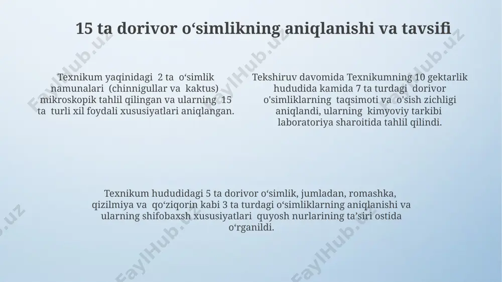 texnikum hududidagi dorivor 15 ta oʻsimlikni aniqlash - Page 4