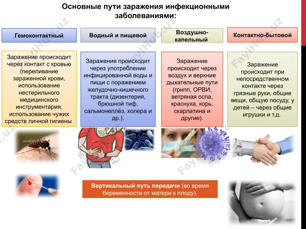 населения от гриппа относят вакцинопрофилактику (прививку) против гриппа с использованием различных типов вакцин, а также возможно применение в период повышенной заболеваемости гриппом медицинских препаратов повышающих иммунитет в соответствии с инструкциями по их применению рекомендации для лиц с симптомами гриппа: при повышении температуры, недомогании, необходимо оставаться дома; на время лечения выделить отдельную комнату для заболевших членов семьи; использовать маски кашляя или чихая, прикрывать рот и нос салфеткой или другим подходящим материалом, чтобы задержать респираторные выделения; после использования одноразовые маски незамедлительно отправлять в отходы, а тканевые маски стирать; после контакта с респираторными выделениями руки необходимо немедленно вымыть руки!!! дифтерия острая инфекционная болезнь, характеризующаяся сильной интоксикацией организма, воспалением миндалин, зева, гортани, носа, а также кожи и слизистой глаз. возбудитель - дифтерийная палочка источником инфекции является больной человек или носитель возбудителя дифтерии. механизм передачи воздушно-капельный, а также через предметы обихода. при попадании дифтерийной полочки на продукты питания (кашель, насморк и т.д.) продукты становятся опасными …