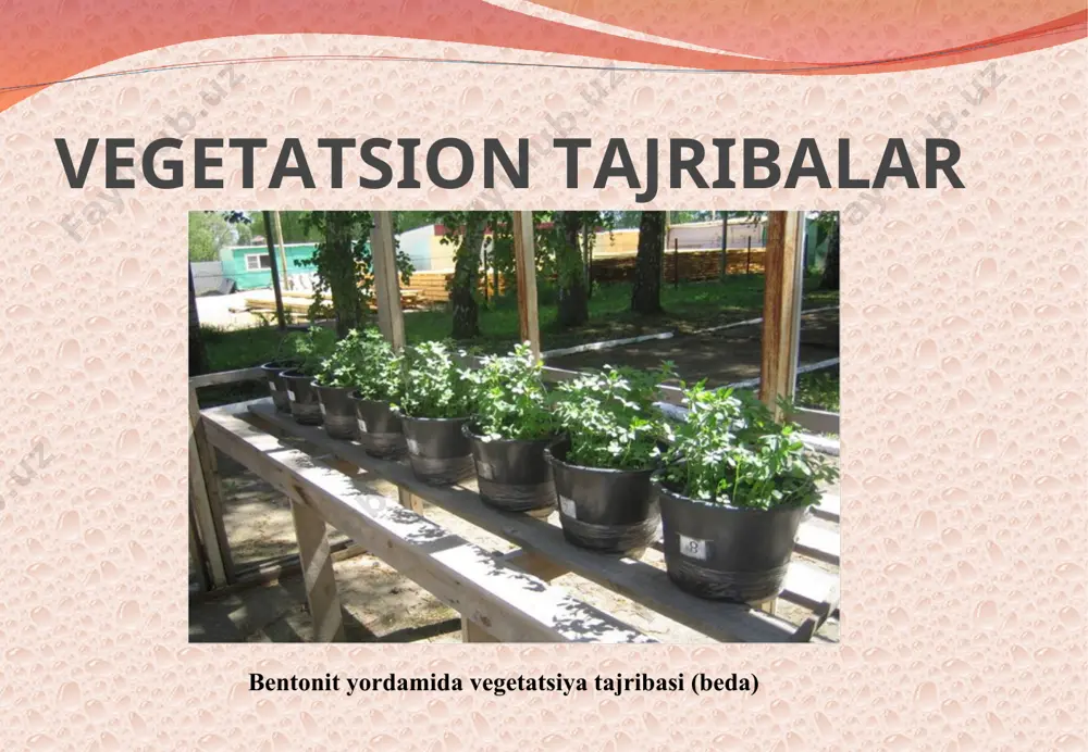 iqotlar oldiga qo‘yiladigan maqsad va vazifalardan kelib chiqqan holda bir necha kundan, o‘simliklar to‘la pishib yetilgungacha, ko‘p yillik o‘simliklar ustida o‘tkazilganda esa bir necha yil davom etishi mumkin. vegetatsiya tajribalari ekinlar hosildorligi va hosil sifatini yaxshilash yo‘llarini o‘rganish va uning nazariy asoslarini ishlab chiqishda muhim xalqa hisoblanadi. bu usul yordamida qishloq xo‘jalik ekinlarini yetishtirishning o‘ziga xos tomonlari, o‘g‘itlar tarkibidagi oziq moddalarning o‘zlashtirilishi, tuproq unumdorligini aniqlash kabi muammolar o‘rganiladi, o‘simlik -tuproq - o‘g‘it uyg‘unligida dehqonchilikda oziq moddalar aylanishi chuqur tahlil qilinadi. vegetatsiya tajribalari usuli o‘simliklardagi moddalar almashinish jarayonini, elementlarning alohida yoki birgalikda, turli nisbatlarda o‘simliklarga ko‘rsatadigan ta’sirini teran o‘rganish imkonini beradi. hozirgi kunda vegetatsiya tajribalari usuli yordamida ekinlar uchun qaysi makro va mikroelementlar zarurligi, ularni o‘simliklar tomonidan qanday shakl yoki birikmalar holida o‘zlashtirilishi yaxshi o‘rganilgan, tuganak bakteriyalar va dukkakli ekinlarning simbioz hayoti hamda uning atmosfera azotining fiksatsiyalanishidagi ahamiyati ochib berilgan. vegetatsiya tajribalari usuli o‘simliklarning oziqlanish va o‘g‘it qo‘llash bilan bog‘liq ko‘pgina …