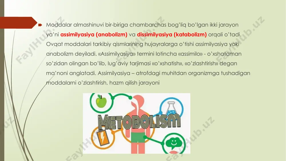 adi. energetik funksiya bilan birga, atf tanada yana boshqa bir qator muhim vazifalarni bajaradi: boshqa nukleozid trifosfatlar bilan birgalikda atf nuklein kislotalar sintezida boshlang‘ich mahsulotdir; atf ko‘plab biokimyoviy jarayonlarni tartibga solishda muhim otin tutadi: u ko‘p fermentlar uchun allosterik ta’sirga ega bodib, ularning boshqaruv markazlariga birikib, fermentativ faoliyatni oshiradi yoki pasaytiradi; atf ba’zi gormonlar signalini hujayralarga uzatuvchi ikkilamchi vositachi - siklik adenozinmonofosfat otmishdoshidir; atf sinapslarda mediatorlik vazitasini bajaradi va boshqa hujayralararo signalni o‘tkazishda ham ishtirok etad zamonaviy tushunchalarga kota, atf ning inson tanasida sintezi ikki yo‘l bilan yuz berishi mumkin: 1) substratli fosforillanish yo‘li; 2) oksidlanishli fosforillanish orqa substratli fosforillanish mitoxondriya va mitoxondriyadan tashqarida kechishi mumkin. ushbu jarayon makroergik bogti birikmalar hisobiga kechadi. bunday bogtar uzilganida, adf va fosfat kislotadan atf molekulasi sintezlanishi uchun yetarli miqdorda energiya ajraladi. substratli fosforillanishga misol sifati- da, glyukozaning anaerob oksidlanishida atf sintezini yoki krebs halqasida suksinil-koadan suksinat hosil bomishida gtf molekulasi sintezini keltirish mumkin …