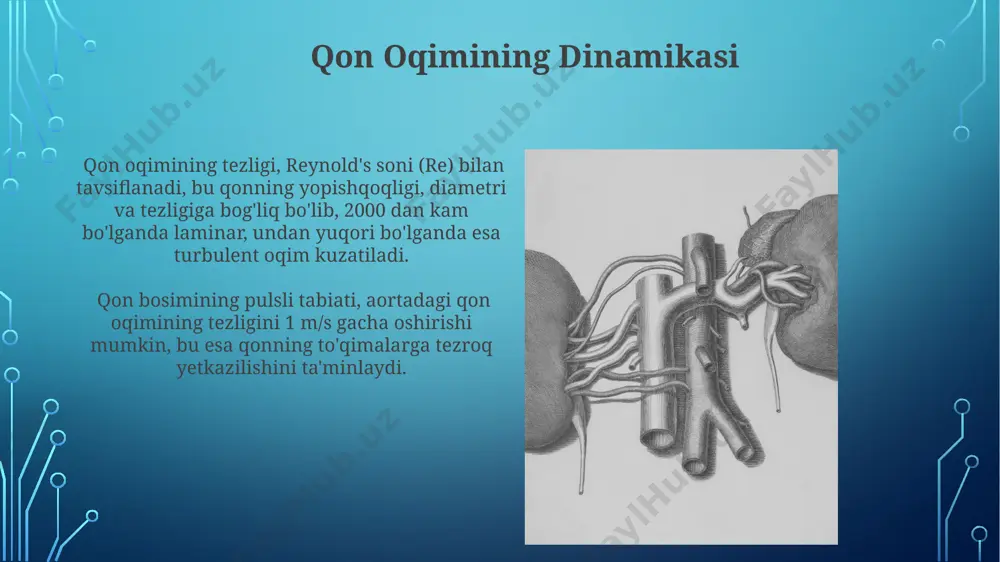 yurak-qon tomir tizmining biofizikasi - Page 5