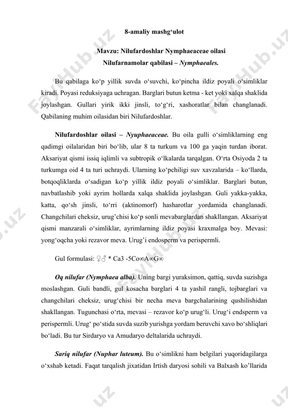 magnoliyadoshlar oilasi - Page 4