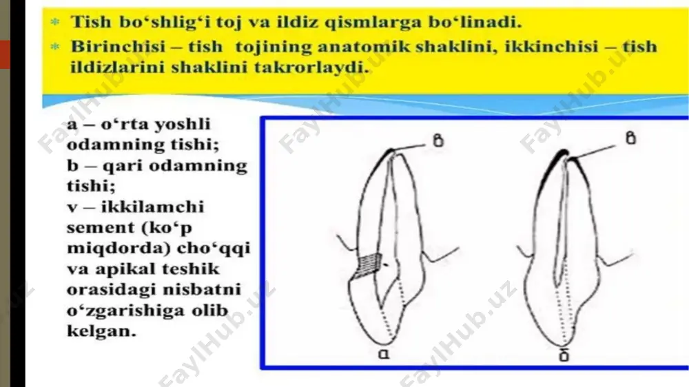 tishjagʻtizmi - Page 3