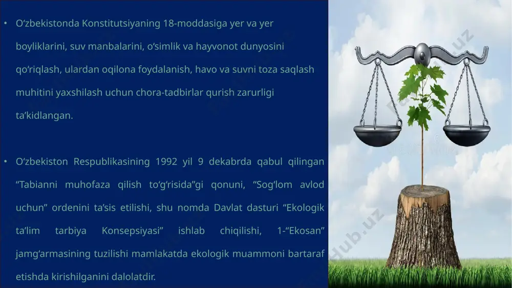 iqtisodiy va ekologik tarbiya - Page 3
