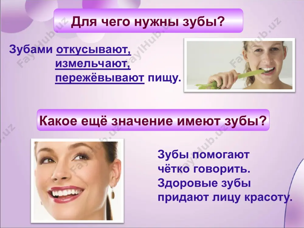 tor-images.com/clipart/stomatology1.gif слайд 3 http://www.dentalcanada.ru/images/chiropractor-silver-spring-md-yousefi-chiropractic-clinic-supporting4.jpg слайд 3 http://neboley.com.ua/img/news/lyggzwop[94651](300x271).jpeg слайд 4 http://www.interwiki.info/images/teeth_2.jpg слайд 6 http://zubzone.ru/wp-content/uploads/2013/12/%d0%b7%d1%83%d0%b1%d1%8b-%d0%b2%d0%b8%d0%b4%d1%8b.jpg слайд 7 http://misseva.ru/uploads/images/754e4704f22fd323a2248b3f87a946a6.jpg слайд 8 http://062012.imgbb.ru/0/7/b/07ba3f69f83c5b7e3ea86db4c9fa960a.png слайд 9 http://www.profclinica.ru/uploads/posts/2014-03/1393829832_sahar_zubam.jpg слайд 14 https://pp.vk.me/c631626/v631626324/21cb5/7xrxylo1uw4.jpg слайд 15 http://bibo.kz/interesno/929569-kak-pravilno-chistit-zuby.html слайд 16 http://dddeti.ru/sites/default/files/pydfbsdeyym.jpg слайд 18 https://www.listerine.ru/sites/listerine_ru/files/102.jpg