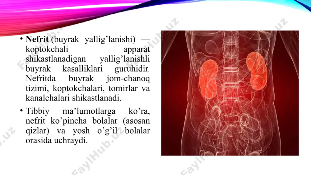 shning muvaffaqiyatli yakun topishi asosan bemorning intizomi va barcha tibbiy tavsiyalarga amal qilishiga bog’liq. asoratlari kerakli davolanishsiz nefrit surunkali bosqichga o’tishi mumkin, bu esa buyrak yetishmovchiligi rivojlanishi xavfini tug’diradi. shunindek yurak-qon tomir va nafas olish tizimlari asoratlari rivojlanishi ham mumkin. oldini olish nefritning oldini olish barcha yuqumli kasalliklarni o’z vaqtida davolashga borib taqaladi. chiniqish, sog’lom turmush tarzi, muvozanatli parhez va immunitet darajasini oshirishga qaratilgan boshqa chora-tadbirlar ushbu kasallikning rivojlanish ehtimoli kamaytiradi xulosa xulosa qilib shuni aytish mumkinki, nefritni davolashda bemorning umumiy holatini kuzatish va qon bosimini muntazam ravishda o’lchash kerak. qon bosimining oshishi va shishlar kuzatilganda bemorga diuretik (siydik haydovchi) preparatlar buyuriladi. nefritni kompleks davolashda detoksifikatsiya qiluvchi preparatlar ham qo’llaniladi. agar nefritda konservativ davolash kerakli natijalarni bermasa, bu holda bu yiringli shishlarni ochish va buyraklar dekapsulatsiyasi qilish uchun jarrohlik operatsiyasini o’tkazish masalasi ko’rib chiqiladi. davolanishning muvaffaqiyatli yakun topishi asosan bemorning intizomi va barcha tibbiy tavsiyalarga amal qilishiga bog’liq image2.png image3.png …