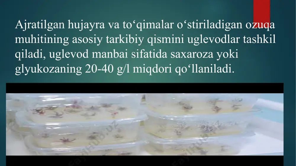 shqa organlarga tashiladi. gibberellinlar - oʻsimliklarning oʻsish jarayonlarini boshqaruvchi tabiiy moddalar (fitogormonlar guruhi). yapon olimi ye. kurosava 1926-yilda kashf etgan. kimyoviy tabiatiga koʻra tarkibida 19 yoki 20 ta uglerod atomi tutgan tetratsiklik mono-, di- va tri-karbon kislotalardir. 100 ga yaqin g. maʼlum. g. oz miqdorda yuksak oʻsimliklar tarkibida tarqalgan. g. ni zamburugʻlar, koʻpgina bakteriyalar, suvoʻtlar ham sintez qiladi. odatda, oʻsimlik toʻqimalarida uning 1 kg ogʻirligiga nisbatan 0,01 dan 1,4 mg gacha g. boʻladi. eng faol g.dan biri - gibberellin kislota bir necha mamlakatlarda mikrobiologiya sanoatida ishlab chiqariladi. g. hujayralarning boʻlinishi va kengayishi hisobiga oʻsimlik organlari oʻsishini tezlashtiradi, nuklein kislotalar va oqsillar sintezini faollashtiradi, gullashni tezlashtiradi, barg va mevalarning qarishini sekinlashtiradi. urugʻlik, tuganaklar, piyozchalarning tinim davrini qisqartiradi. gibberlin poyaning oʻsishini tezlashtirib, barglar oʻsishiga deyarli ta’sir etmaydi va ildiz oʻsishini toʻxtatadi. gibberlinlarning ildizga salbiy ta’siri oziqa moddalarni qayta taqsimlanishi natijasida oʻsimlikning yer ustki qismining oʻsishi tezlashishi bilan bogʻliq boʻlishi mumkin. gibberlinlarning tanqisligi …