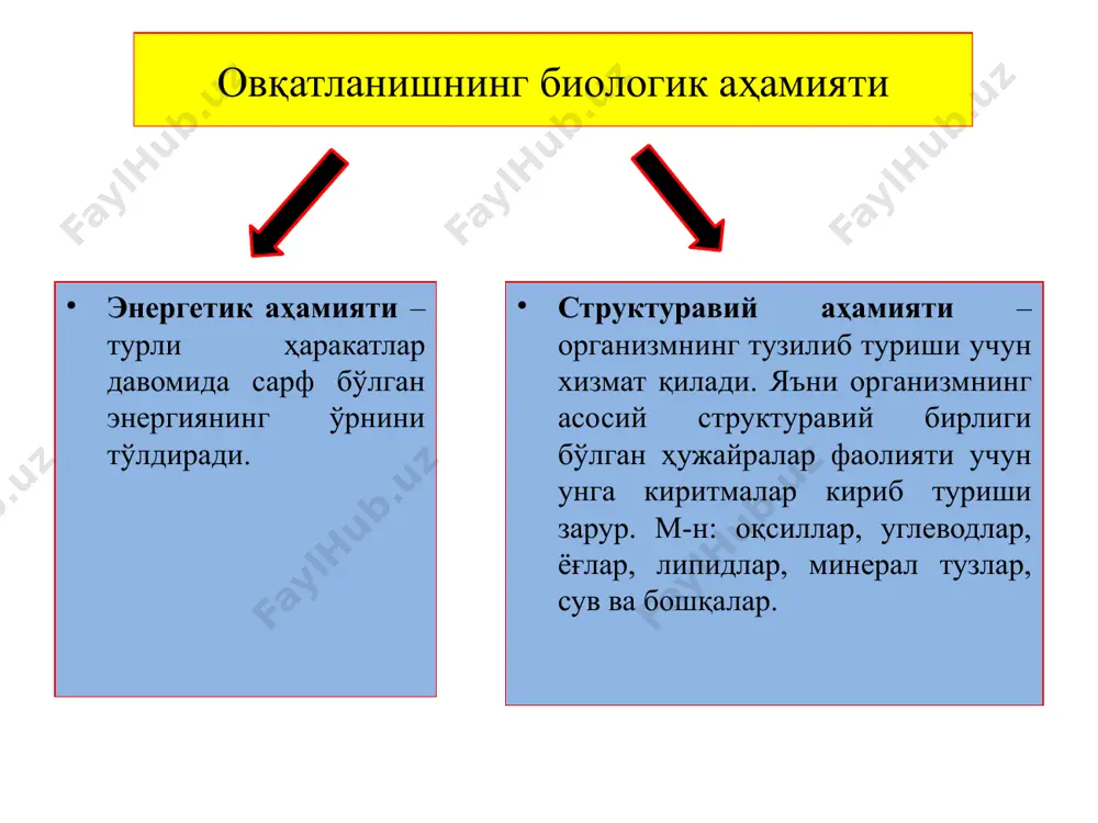 rus mevalar, olma, sut, go'sht, jigar, ko'k no'xatda tsinga kasalligiga olib keladi, ya'ni milklar shishib qonaydigan bo'lib qoladi, tishlar qimirlab qoladi, tushib ketadi bo'g'imlarda og'riq paydo bo'ladi infetsion kasalliklar oson yuqadi suyaklar mo'rt bo'lib qoladi kishi qonsizlanadi. vitaminlarning asosiy guruhlari vitaminlar nomi qaysi mahsulotlarda bo'lishi etishmaganda qanday asoratlarga olib kelishi vitamin d (raxitga qarshi vitamin) baliq moyida, tuxum sarig'ida, pivo achitqisida, mol jigarida, sariyog'da kaltsiy tuzi almashinuvi buziladi raxit kasalligi paydo bo'ladi. bu kasallik asosan yosh bolalarda uchraydi. bunday bolalarning tishi kech chiqadi, oyoq suyaklari mo'rt bo'ladi, ko'krak qafasining shakli o'zgaradi muskul kuchi kamayadi. vitamin k ismaloq, kashtan barglari, soya, xom pomidor, quruq beda, qichitqon, salat, yangi karam, sabzi, qarag'ay barglarida, cho'chqa barglarida chaqaloq bolalar badani qonashiga sabab bo'ladi. vitaminlarning asosiy guruhlari vitaminlar nomi qaysi mahsulotlarda bo'lishi etishmaganda qanday asoratlarga olib kelishi vitamin e o'simlik moylari va urug'larida muskullar rivojlanishdan orqada qoladi, zaiflanadi qonning ivishiga salbiy ta'sir ko'rsatadi organizmning rivojlanishi …