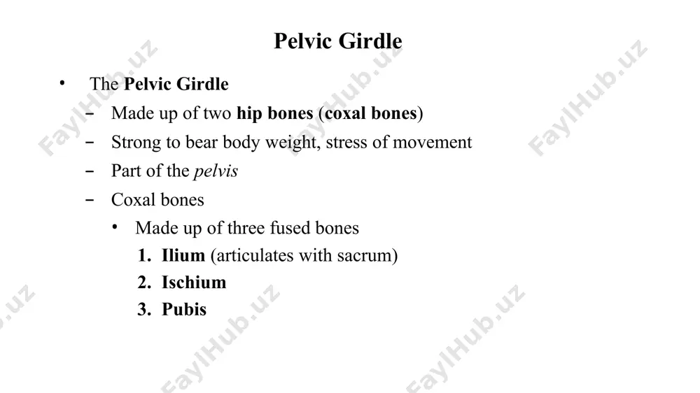 ior iliac spine acetabulum acetabular notch superior ramus of pubis pubic tubercle inferior ramus of pubis obturator foramen ischial ramus ischial tuberosity lesser sciatic notch ischial spine posterior inferior iliac spine greater sciatic notch lunate surface of acetabulum posterior superior iliac spine posterior gluteal line anterior gluteal line right hip bone, lateral view anterior posterior ilium pubis right hip bone iliac crest anterior superior iliac spine anterior inferior iliac spine pectineal line pubic tubercle anterior posterior ilium pubis ischium iliac fossa auricular surface for articulation with sacrum iliac tuberosity posterior superior iliac spine posterior inferior iliac spine greater sciatic notch arcuate line ischial spine lesser sciatic notch ischial tuberosity ischial ramus location of pubic symphysis right hip bone, medial view pelvic girdle coxal bones articulations of the pelvic girdle sacroiliac joint articulation of posterior auricular surface of ilium with the sacrum stabilized by ligaments of iliac tuberosity the pelvis consists …