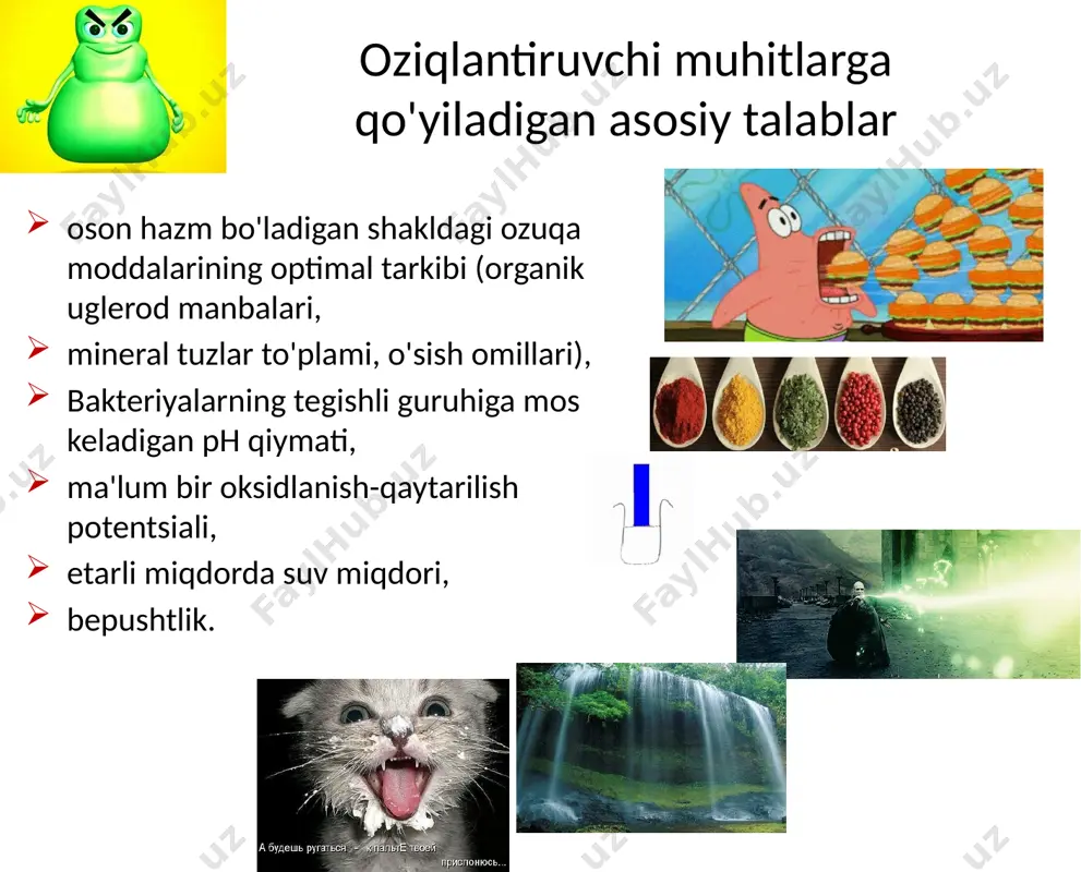 a'zida go'sht yoki xamirturush ekstrakti qo'shiladi. escherichia kabi juda ko'p oddiy mikroorganizmlarni etishtirish uchun javob beradi. coli , stafilokokklar aureus , pseudomonas aeruginosa . murakkab ommaviy axborot vositalarini tayyorlash uchun ishlatilishi mumkin misollar: go'sht-peptonli bulon ( mpb ) - suyuq muhit go'sht-pepton agar ( mpa ) - qattiq muhit grm ( baliq uni gidrolizat + natriy xlorid + agar ) tripton soya agar boyitilgan ommaviy axborot vositalari oddiy ommaviy axborot vositalarining tarkibiy qismlaridan tashqari, ular tez mikroorganizmlarning o'sishini rag'batlantiradigan qo'shimcha ingredientlarni o'z ichiga oladi. uglevodlar bilan boyitilgan (shakarli bulon/agar) proteinlar bilan boyitilgan (shokoladli agar, zardob, astsitli bulyon/agar; miya-yurak bulyoni - talabchan patogen mikroorganizmlarni etishtirish uchun yurak-miya ekstrakti bo'lgan bulon) "shokolad" agar - qizdirilganda yo'q qilingan qizil qon hujayralarini o'z ichiga oladi. ulardan ajralib chiqadigan moddalar (jumladan, gemoglobin va nad) haemophilus influenzae va neisseria meningitidis kabi mikroorganizmlarning o'sishini qo'llab-quvvatlaydi . selektiv (selektiv) ozuqa muhiti ular mikroorganizmlarning ma'lum guruhlarini izolyatsiya qilishni ta'minlaydi, …