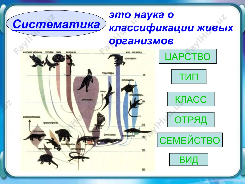 зоология - Page 4