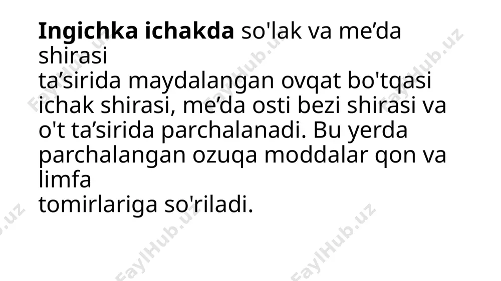 ingichkaichak (intestinum tenue) - Page 4