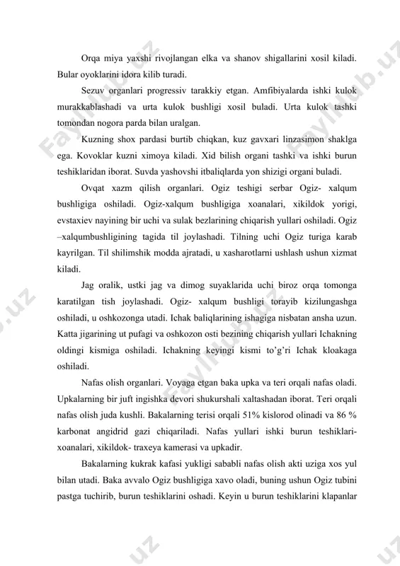 kutaradi, keyin xavo xikildok teshigidan upkaga utadi. qonaylanish sistemasi. bakaning yuragi xamma amfibiyalardagi singari ush kamerali buladi, ikkita yurak korinshasi bilan bitta umumiy teshik orqali tutashadi. ung yurak bulmasi bilan venoz sinusi tutashadi, yurak korinshasidan keyin arterial konus joylashadi. bakalarning arterial konusidan ush juft arterial yoylari chiqadi. birinshi jufti baliqlarning jabraga olib keluvshi arteriyalarining birinshi juftiga gomolog bulib, uyku arteriyasi deyiladi va arterial konni bosh kismiga olib boradi. uyku arteriyasi aoterial konusining korin tomonidan chiqadi. ikkinshi juft shap va ung aorta yoylari deyiladi. bular xam arterial konusning korin tomonidan chiqadi va baliqlarning jabra arteriyalari ikkinshi juftiga gomologdir. aorta yoylaridan oldingioyoklarga arterial qonolib boruvshi umrov osti arteriyalari chiqadi. shap va ung aorta yoylari yurakdan pastrokda uzaro quchilib, tok orqa aortasini xosil kiladi. orqa aorta xamma ishki organlarni va keyingi oyoklarni arterial qonbilan ta’minlaydi. arterial konusning orqa tomonidan baliqlarning jabra arteriyalari turtinshi juftiga gomolog bulgan upka- teri arteriyasi chiqadi. bu upka va …