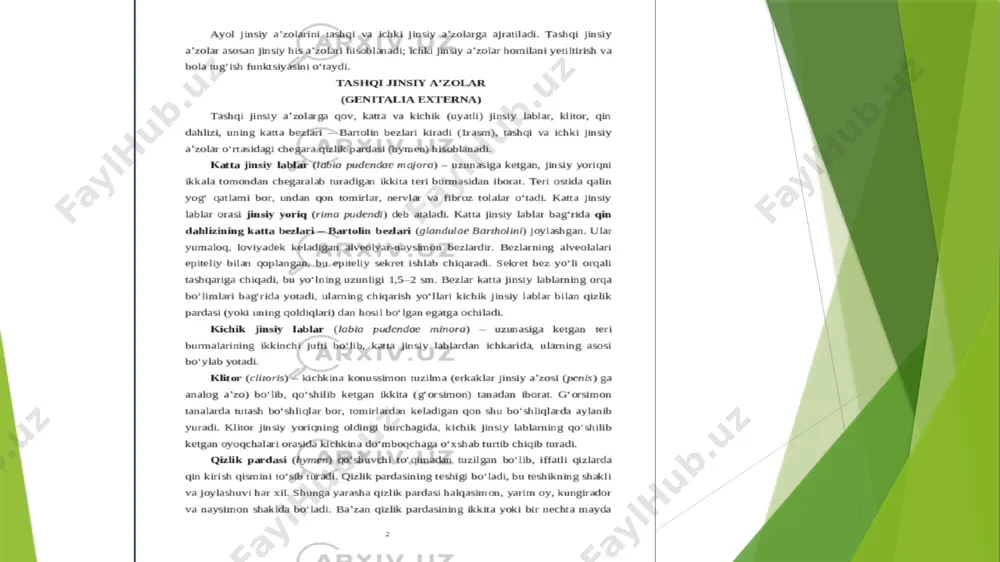 ayol jinsiy a'zolari anatomiyasi - Page 4