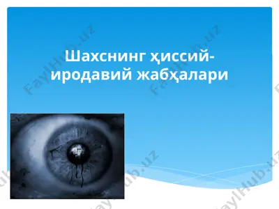 шахснинг ҳиссий-иродавий жабҳалари — PPTX