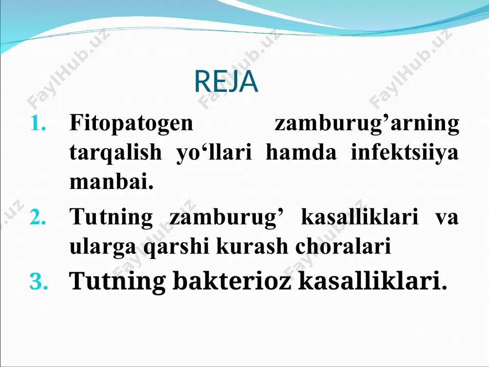 lekin ular to’kilib ketmaydi. kasallangan daraxt qo’l bilan siltaganda qimirlab, sinib ketadi (ildizdan yoki poya asosidan). bunday daraxtning ildizlari va poya asosi qo’ng’ir tusda bo’lib, yumshoq, bo’sh bo’lib, oson sinadi. ildiz po’stining ichida zamburug’ joylashgan bo’ladi, zamburug’ning mitseliysi shaklini o’zgartirib rizomorflar hosil qiladi. rizomorflar oq rangda shoxlangan bo’ladi. ulardan keng tarqalgan turlari armillaria mellea – haqiqiy qalpoqcha. a. mellea, a. gallica, a. tabescens biolyuminisetli turlar bo’lib ularning mevatanachasi qorong’uda yaltirab ko’rinadi. armillaria mellae возбудителем белой корневой гнили растений является гриб rosellinia necatrix (в переводе – розеллиния-убийца), который входит в царство mycota, филум ascomycota, класс sordariomycetes, (группу порядков pyrenomycetes), порядок xylariales, семейство xylariaceae, род rosellinia. . в почве вокруг корней rosellinia necatrix встречается в виде паутинистой сети гиф мицелия и ризоморфов, плотность этой сети гиф выше около корней. этот паутинистый белый или сероватый мицелий образуется также в нижней части штамбов деревьев – на корневой шейке, на корнях, под корой корневой шейки …
