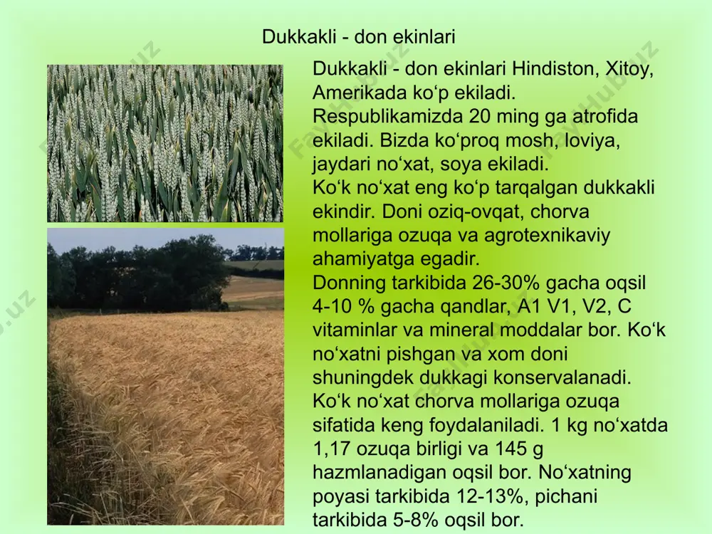 adi. o’zbekistonning suvli erlarida loviya turlari, shu jumladan, mosh, lalmi erlarda no’xat qadimdan ekilib kelinmoqda. oxirgi yillarda soya ekiniga ancha e’tibor berilmoqda, oraliq ekin sifatida kuzgi vika, ko’k no’xat ekilmoqda.