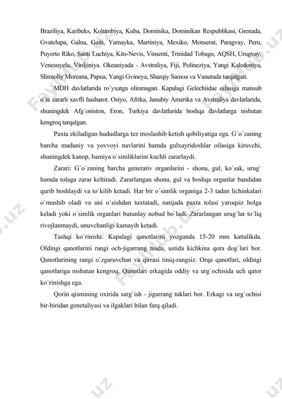 q - ovalsimon, uzunligi 0,4-0,6 mm, eni 0,2-0,3 mm, qobig`i kamalaksimon, marvaridsimon - tiniq oq rangda. lichinkasi: tanasining rangi och jigarrang, qizg`ish chiziqli segmentlardan iborat. yangi tuxumdan chiqqan lichinkalar rangsiz, uzunligi 1-2 mm, yetuk lichinkalari - qizg`ish rangda, uzunligi 12-15 mm, soxta oyoqlarida 15-17 dona ilgakchalari bor. lichinkalar uzoq vaqt diapauza holatida turish qobiliyatiga ega bo`lib noqulay sharoitlarda ham hayotchanligini saqlab qoladi. g`umbagi: kattaligi 10 mm, jigarrang tusda, qorin qismida qisqa ilgaksimon egilgan o`simtasi bor. biologik xususiyatlari: lichinkasi dala sharoitida -to`kilgan ko`saklar, urug`lar, g`o`za poyasi va boshqa o`simlik qoldiqlarida qishlaydi. xitoylik entomologlarning ma’lumoti bo`yicha dala sharoitida faqat 0,75% lichinkalar qishlaydi, qolgan 99% lichinkalar omborxonalarda, urug`larda, paxta tozalash zavodlarida, yog` zavodlari omborxonalarida, paxta xom ashyosi va urug`liklar saqlanadigan joylarda, jin apparatidan chiqqan chiqindilarda, paxtani tozalagandan keyingi chiqitlarda, taralarda qishlab qoladi. lichinka rivojlanish davomida 3 marta po`st tashlaydi va 4 yoshni o`taydi. biologik xususiyatlari bo`yicha lichinka uzoq muddat, ya’ni 2-2,5 yilgacha diapauzada …