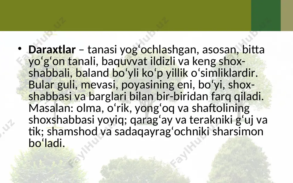 o‘simliklarning hayotiy shakllari. 5 - sinf - Page 3