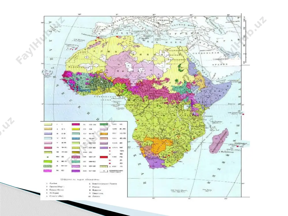 , qora ko’zi va burama sochlari , iyagi biroz oldinga cho’zilganligi , qalin labi , keng va puchuq burunli ,ko’sa soqol va kam tukli belgilari bilan ajralib turadilar . jismoniy tuzilishi jihatidan afrikaning eng janubiy qismida yashayotgan bushmenlar va gottentotlar maxsus antropologik tipni tashkil qiladilar . irqiy tavsiflanishi ular negroid belgilaridan tashqari ba’zi mongoloid belgilari ( keng yuzli , sarg’ish tanli ) va steatopigiya (sag’riga nisbatan ko’proq yog’ to’planib osilganroq) ko’rinishi , badan va yuzga erta ajin tushishi bilan boshqa irqlardan ajralib turadilar . madagaskar aholisi ham negroid va mongoloid irqlari aralashmasidan paydo bo’lgan maxsus tiplardan iborat . образец текста второй уровень третий уровень четвертый уровень пятый уровень zulus xalqi afrika aholisining til klassifikatsiyasi rang- barangdir . masalan , germaniyalik olim meynxof 20-30 yillarda faqat bantularda 184 til va lahjalarni o’rgangan . belgiyalik van byulk esa 50- yillar zairda 518 ta mustaqil til bo’lganini ta’kidlaydi . afrika tillari to’rtta katta …