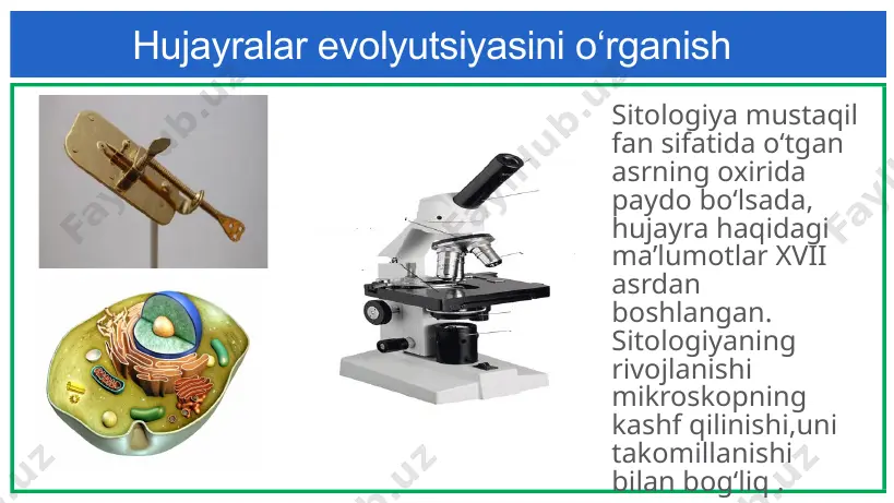 istemali qo‘llashadi. n.gryu malpigi 1671-yil “o‘simliklar anatomiyasi boshlanishi” asari muallifi to‘qima tushunchasini fanga kiritgan olim i9 presentation to joe smith ‹#› hujayra ta‘limoti rivojlanishiga hissa qo‘shgan olimlar kasper fridrix volf-epigenez nazariyasi asoschisi “kelib chiqish nazariyasi” hayvonlar embrional taraqqiyoti ustida izlanishlar olib borgan karl ber- 1978-sut emizuvchilar tuxum hujayrasi va uning rivojlanish jarayonini o‘rgangan sut emizuvchilar tuxum hujayrasi rivojlanishi mikroskopik ko‘rinshi i9 presentation to joe smith ‹#› 8 hujayra ta‘limoti rivojlanishiga hissa qo‘shgan olimlar 1830 yilda birinchi bo‘lib chex olimi yan purkine tovuqning tuxum hujayrasida yadroni kashf qiladi va uni “murtak pufakcha” deb nomladi. robert broun tomonidan orxideya o‘simligining “hujayra shirasida” yadro kuzatildi. broun buni “nukleus” ya’ni, “yadro” deb nomladi. orxideya o‘simligi mikroskopik ko‘rinshi i9 presentation to joe smith ‹#› 9 zamonaviy mikroskopik texnika ishlari boshlanishi purkine to‘qimalarni bo‘yash, preparatlarni tiniqlashtiruvchi moddalarni qo‘llashni boshlab berdi. mikroskopiya texnikasining yaxshilanishi asosiy hujayra organoidlarini topishga, yadroning tuzilishini va hujayraning bo‘linishi qonuniyatlarini aniqlashga, otalanishning mexanizmlarini …