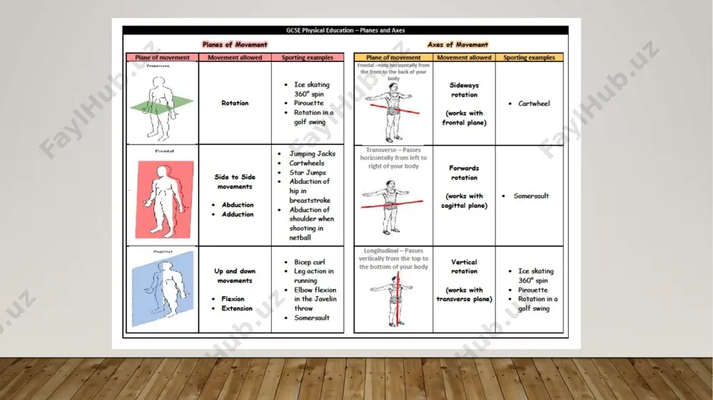 anatomik sathlar.umumiy osteologiya.umurtqalar va gavda skeleti anatomiyasi - Page 5