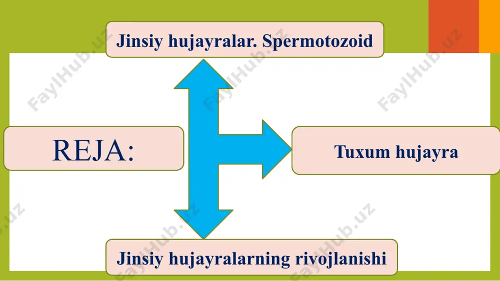 lga oshadi. tuxum hujayra shakllanish davrida maxsus parda (qobiq) bilan o‘ralib urug‘lanishga tayyor bo‘ladi. ko‘p hollarda sudralib yuruvchilar, qushlar va sut emizuvchilar tuxum hujayrasida qo‘shimcha qobiqlar hosil bo‘ladi. qo‘shimcha qobiqlar tuxum hujayra va unda rivojlanayotgan embrionni tashqi muhitning noqulay sharoitlaridan himoya qilib turadi. savol va topshiriqlar jinsiy ko‘payishning jinssiz ko‘payishdan asosiy farqi nimada? jinsiy hujayralarning rivojlanishi qanday davrlarga bo‘linadi? tuxum hujayraning spermatozoiddan qanday farqi bor? image1.png image2.png image3.png image4.jpeg image5.png image6.png image7.png image8.jpeg image9.png image10.png image11.png image12.png image13.png image14.png image15.png image16.png image17.png image18.png image19.png image20.png image21.png image22.jpeg image23.jpeg /docprops/thumbnail.jpeg