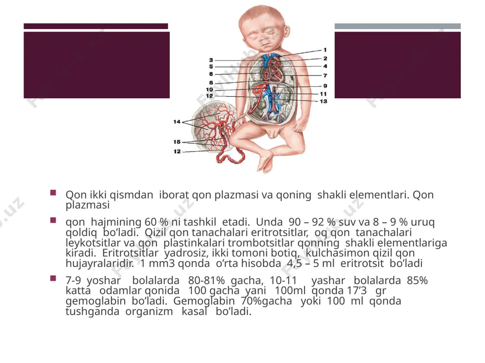 qon aylanishini yosh xususiyatlariva gigiyanasi - Page 4
