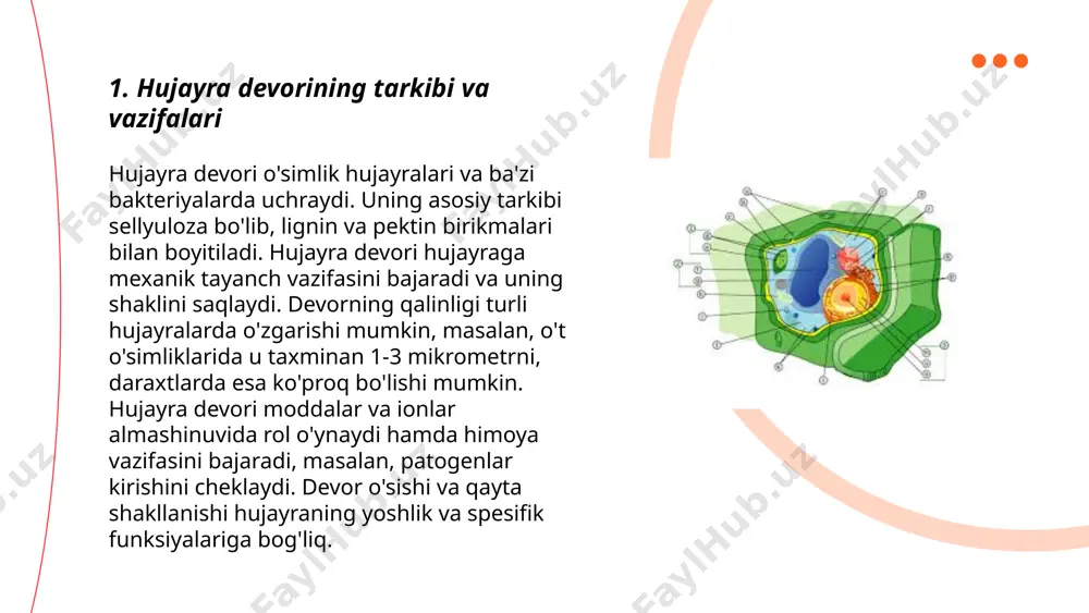 qali moddalar oqimi bo‘lib, u energiya talab qilmaydi. bu protsess konsentratsiya gradienti bo‘yicha amalga oshiriladi va diffuziya, osmoz va fasilitatsiya qilingan diffuziyani o‘z ichiga oladi. diffuziya suv, gaz va kichik gidrofobik molekulalar kabi moddalarning katta konsentratsiyadan kichik konsentratsiyaga o‘tishini anglatadi. osmoz suvning yarim o‘tkazuvchan membrana orqali harakati bo‘lib, ular konsentratsiyasi farqiga qarab o‘tadi. fasilitatsiya qilingan diffuziyada esa transport proteinlari yordamida katta yoki qutbli molekulalar o‘tkaziladi. passiv transport hujayra uchun juda muhim, chunki u muhit bilan modda almashinuvini soddalashtiradi. ... t.me/slaydai_bot faol transport hujayra membranalari orqali moddalarni energiya sarflab tashqariga yoki ichkariga o'tkazish jarayonidir. bu jarayon atp energiyasidan foydalanib, moddalarning konsentratsiya gradientiga qarshi harakatlanishini ta'minlaydi. misol sifatida, natriy-kaliy pompasi hujayra ichida kaliy ionlarini to'plab, natriy ionlarini hujayradan chiqaradi. membranadagi oqsillar taqsimlovchi sifatida ishlaydi, bu esa ionlar va molekulalar harakatini nazorat qilish imkonini beradi. faol transport orqali hujayra ichidagi kimyoviy muvozanatni saqlash, oziqa moddalari va ionlarni talab qilingan joylarga yetkazish mumkin bo'ladi. …
