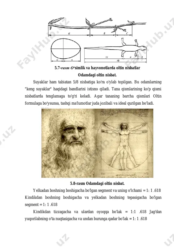 oltin kesim qonuni - Page 5