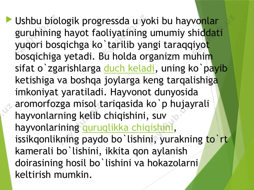 lardan tashkil topgan va tarqoq joylashgan, ya`ni markazlashmagan shu sababli ularda ta`sirot juda sekin tarqaladi, ssifomeduzalar va aktiniyalarda esa tarqoq nerv hujayralari bilan birga nerv tugunchalari rivojlanadi. chuvalchanglarda markazlashgan nerv tugunlari, bo`g`imoyoqlilardan boshlab miya vujudga keladi. nerv to`qimasining hujayrasi (neyronlar) yuqori darajada differensiallashgan va murakkablashganligi bilan boshqa to`qima hujayralaridan farq qiladi. yuqori darajada tashkil topgan organizmlarda nerv to`qimaning miyada joylashgan neyronlari bosh, ya`ni markaziy nerv sistemani, ichki organlarda joylashganlari esa periferik (chetki) nerv sistemani tashkil etadi har bir ko`p hujayrali organizm bir necha organlar va organlar sistemasidan tashkil topgan. tananing ma`lum bir vazifani bajaruvchi qismi organ deb yuritiladi. har bir organ o`z navbatida bir necha xil to`qimalardan tarkib topgan. aniq bir yo’nalishdagi vazifani bajarishga moslashgan organlar yig`masi organlar sistemasini tashkil etadi: ovqat hazm qilish organlari sistemasi (og`iz bo`shlig`i, tomoq, qizilo`ngach, oshqozon, ichaklar), nafas olish organlari sistemasi, ayirish organlari sistemasi, qon aylanish sistemasi, jinsiy organlar sistemasi, nerv sistemasi va sezuv organlari. …