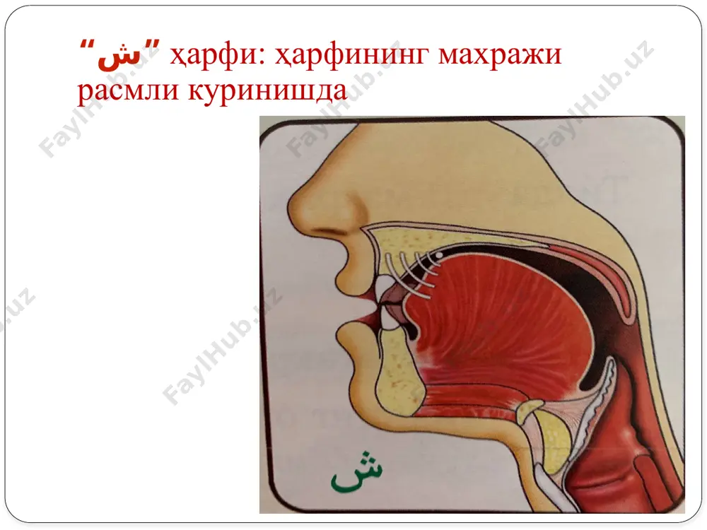“қуръони карим ва тажвид” ўқув курси - Page 5