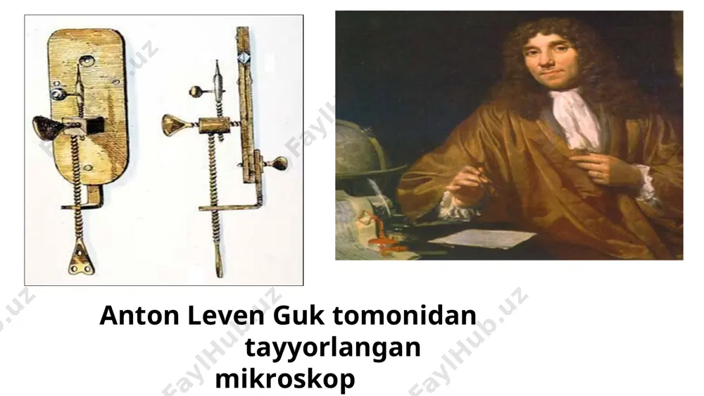 hujayra — tiriklikning asosi - Page 3