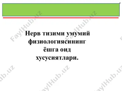 nerv tizimi umumiy fiziologiyasining yeshga oid xususiyatlari — PDF