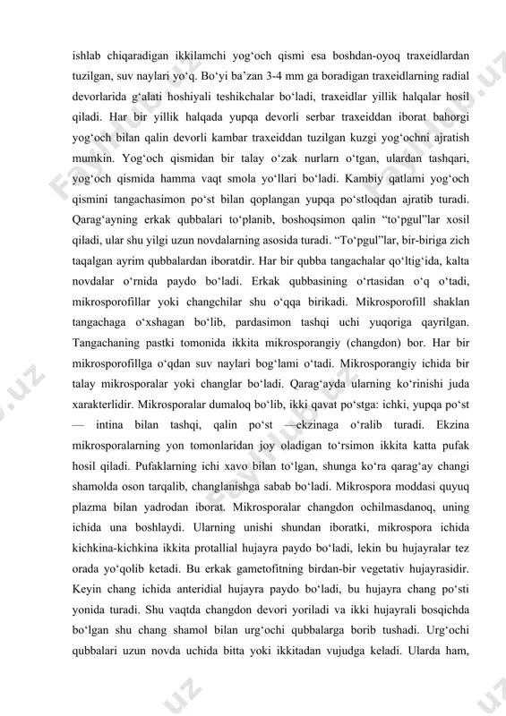 ‘rtasidan o‘q o‘tadi, mikrosporofillar yoki changchilar shu o‘qqa birikadi. mikrosporofill shaklan tangachaga o‘xshagan bo‘lib, pardasimon tashqi uchi yuqoriga qayrilgan. tangachaning pastki tomonida ikkita mikrosporangiy (changdon) bor. har bir mikrosporofillga o‘qdan suv naylari bog‘lami o‘tadi. mikrosporangiy ichida bir talay mikrosporalar yoki changlar bo‘ladi. qarag‘ayda ularning ko‘rinishi juda xarakterlidir. mikrosporalar dumaloq bo‘lib, ikki qavat po‘stga: ichki, yupqa po‘st — intina bilan tashqi, qalin po‘st —ekzinaga o‘ralib turadi. ekzina mikrosporalarning yon tomonlaridan joy oladigan to‘rsimon ikkita katta pufak hosil qiladi. pufaklarning ichi xavo bilan to‘lgan, shunga ko‘ra qarag‘ay changi shamolda oson tarqalib, changlanishga sabab bo‘ladi. mikrospora moddasi quyuq plazma bilan yadrodan iborat. mikrosporalar changdon ochilmasdanoq, uning ichida una boshlaydi. ularning unishi shundan iboratki, mikrospora ichida kichkina-kichkina ikkita protallial hujayra paydo bo‘ladi, lekin bu hujayralar tez orada yo‘qolib ketadi. bu erkak gametofitning birdan-bir vegetativ hujayrasidir. keyin chang ichida anteridial hujayra paydo bo‘ladi, bu hujayra chang po‘sti yonida turadi. shu vaqtda changdon devori yoriladi va …