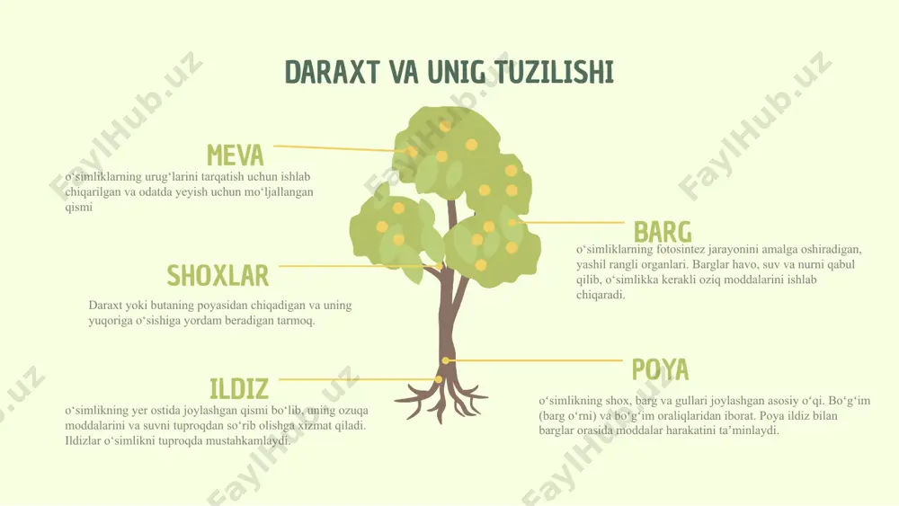 daraxtlar va ularning turlari - Page 3