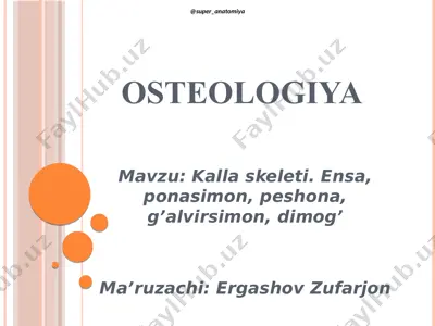 osteologiya — PDF