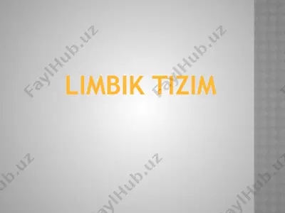 limbik tizim — PPTX