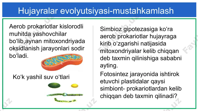 lementlar hujayra massasini 0,02% ini tashkil qilib, mikroelementlar deb ataladi. rux mis kobalt yod ftor molibden marganes vitamin gormon fermentlar hujayra tarkibiy qismi yod-qalqonsimon bez gormonlari tarkibiga kiradi. tiroksin yetishmaganida yosh bolalarning o‘sishi, aqliy va jismoniy rivojlanishi juda sekinlashib,kreatizm xastaligi paydo bo‘ladi. katta yoshdagi odamlarda bez faoliyati pasayib, tiroksin kam ishlab chiqarilishining kamayishi miksedema xastaligini paydo qiladi. hujayra tarkibiy qismi mis-umurtqasiz hayvonlar qonidagi mioglobulin gormoni tarkibiga kiradi. mis yetishmasa o‘simlik rivojlanishi to‘xtaydi,barglarning buralib qolishi,poya sust rivojlanishi,gullarning ochilmasligi kuzatishi mumkin. elementlarning o‘simlik uchun ahamiyati kaliy g‘uncha,gul, meva uchun zarur temir,o‘simliklarda azot,fosfor,kaliyning o‘zlashtirilishini ta‘minlaydi. azot poya va barglar o‘sishi uchun zarur fosfor ildizlar o‘sishi uchun zarur mis,rux marganes o‘simlikda sodir bo‘ladigan oksidlanish qaytarilish jarayonlarini tezlashtiradi. hujayra tarkibidagi makroelementlar hujayra tarkibidagi mikroelementlar uyga vazifa 1.hujayra tarkibida qaysi kimyoviy element ko‘p miqdorda uchraydi? 2.nima sababdan uglevod tirik organizmlar hayotida muhim ahamiyatga ega? 3.bolada kreatinizm xastaligi paydo bo‘lsa, unga qaysi element yetishmagan bo‘ladi? 4.fermer xo‘jaligida …