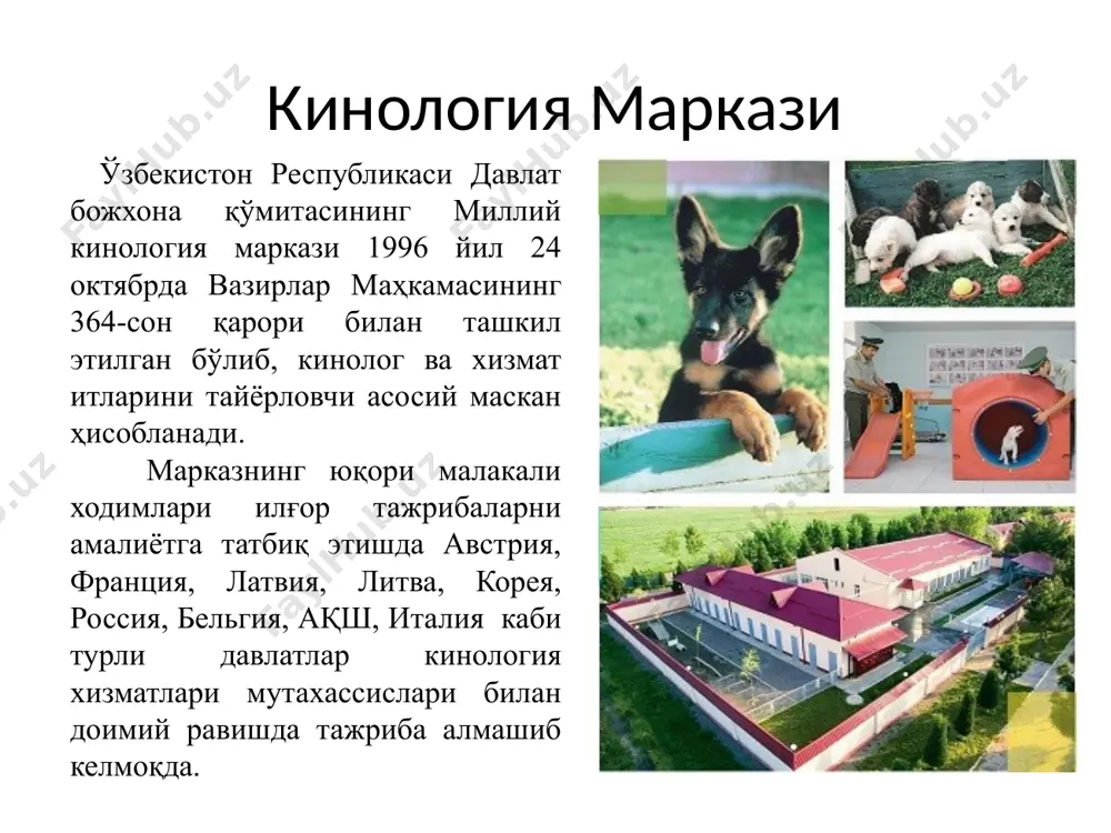 ини; зарур имзолар ва муҳрларнинг (электрон рақамли имзонинг) мавжудлигини; тузатишларнинг тасдиқланганганлигини аниқлашни ўз ичига олади. божхона органларига тақдим этилган ҳужжатларда кўрсатилган маълумотларнинг тўғрилигини текшириш уларни қуйидагилардан олинган маълумотлар билан солиштириш орқали амалга оширилади: тақдим этилган бошқа ҳужжатлар ва маълумотлардан олинган ахборотлар; учинчи шахслардан ва бошқа манбалардан олинган ахборотлар ва бошқалар. оғзаки сўров оғзаки сўров божхона органининг мансабдор шахси томонидан ваколатли шахслардан ва божхона назоратини амалга ошириш учун аҳамиятга молик ҳолатлар тўғрисида маълумотларга эга бошқа шахслардан зарур ахборотни оғзаки шаклда, бундай сўров натижаларини ёзма шаклда расмийлаштирмаган ҳолда олишни назарда тутади. ахборот олиш ахборот олиш божхона органининг мансабдор шахси томонидан ваколатли шахслардан ва божхона назоратини амалга ошириш учун аҳамиятга молик ҳолатлар тўғрисида маълумотларга эга бошқа шахслардан зарур ахборот олишни назарда тутади. ахборот олиш учун ваколатли шахсни ва бошқа шахсни чақириш зарур бўлган тақдирда божхона органи ёзма шаклда хабар юборади. божхона кўздан кечируви божхона кўздан кечируви божхона органининг мансабдор шахси томонидан транспорт воситаларининг …