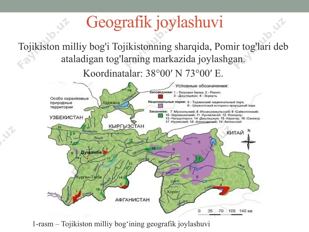 udi markaziy osiyoning eng katta daryosi-amudaryo oqimini tashkil etuvchi asosiy zonalardan biridir. 10-rasm-pamira tog'laridan oqib o'tadigan amudaryo daryosi 9-rasm – pyanj daryosi 11-rasm - murg'ob daryosi ichki suvlar (2) park chegaralarida baland tog'li ko'llar mavjud: qorako'l ("qora ko'l") - 3914 metr balandlikdagi tekis tog ' havzasida joylashgan, cho'l toshli silliqliklar bilan o'ralgan oqimsiz ko'l. sarez ko'li dunyodagi eng katta baland suv havzasidir. 12-rasm - qorako'l ko'li 13-rasm - sarez ko'li tuproq va o'simlik qoplamasi ushbu hudud cho'l-dasht tuproqlari bilan ajralib turadi. 14-rasm – tojikiston respublikasining tuproq xaritasi растительный мир рисунок 15 - десматодон рисунок 1 6 - островския величественная рисунок 17 -камнеломка подушковидная рисунок 18 - ирис гуга рисунок 19 - тюльпаны на территории таджикского национального парка произрастает более 2000 видов высших растений, из них 120 видов являются эндемичными. hayvonot dunyosi 20-rasm - marko polo tog' qo'chqori 21-rasm-qizil bo'ri 22-rasm - spiral shoxli echki 23-rasm - kulrang boshli chayqa 25-rasm-kumay …